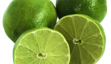 Cut Queen Pumpkin Per